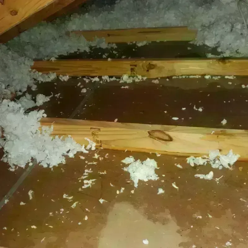 Attic Water Damage in Sumter County, SC