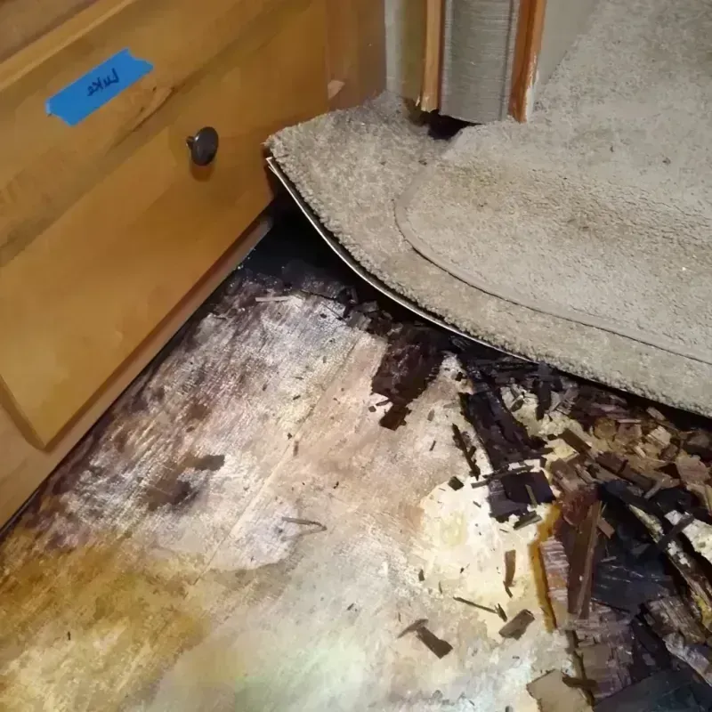 Wood Floor Water Damage in Sumter County, SC